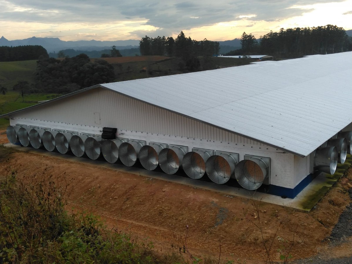 A telha termoacstica como aliada do agronegcio: conforto, produtividade e eficincia no campo
