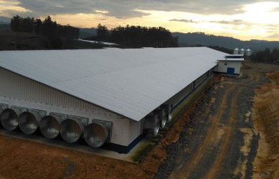 A telha termoacstica como aliada do agronegcio: conforto, produtividade e eficincia no campo