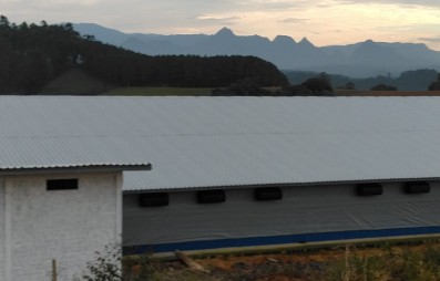 A telha termoacstica como aliada do agronegcio: conforto, produtividade e eficincia no campo