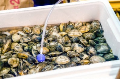 Caixa Trmica de Isopor para Pescados 08 Litros